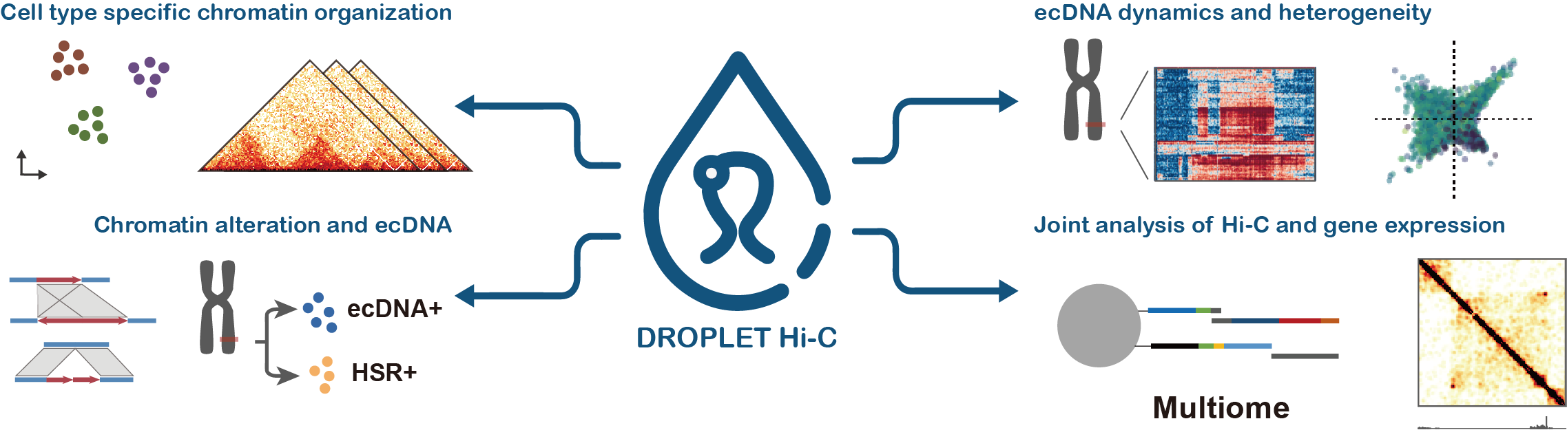 Lei Chang and Yang Xie's Droplet Hi-C paper is published in Nature Biotechnology!